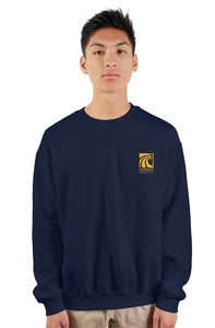 Sunwave Crewneck